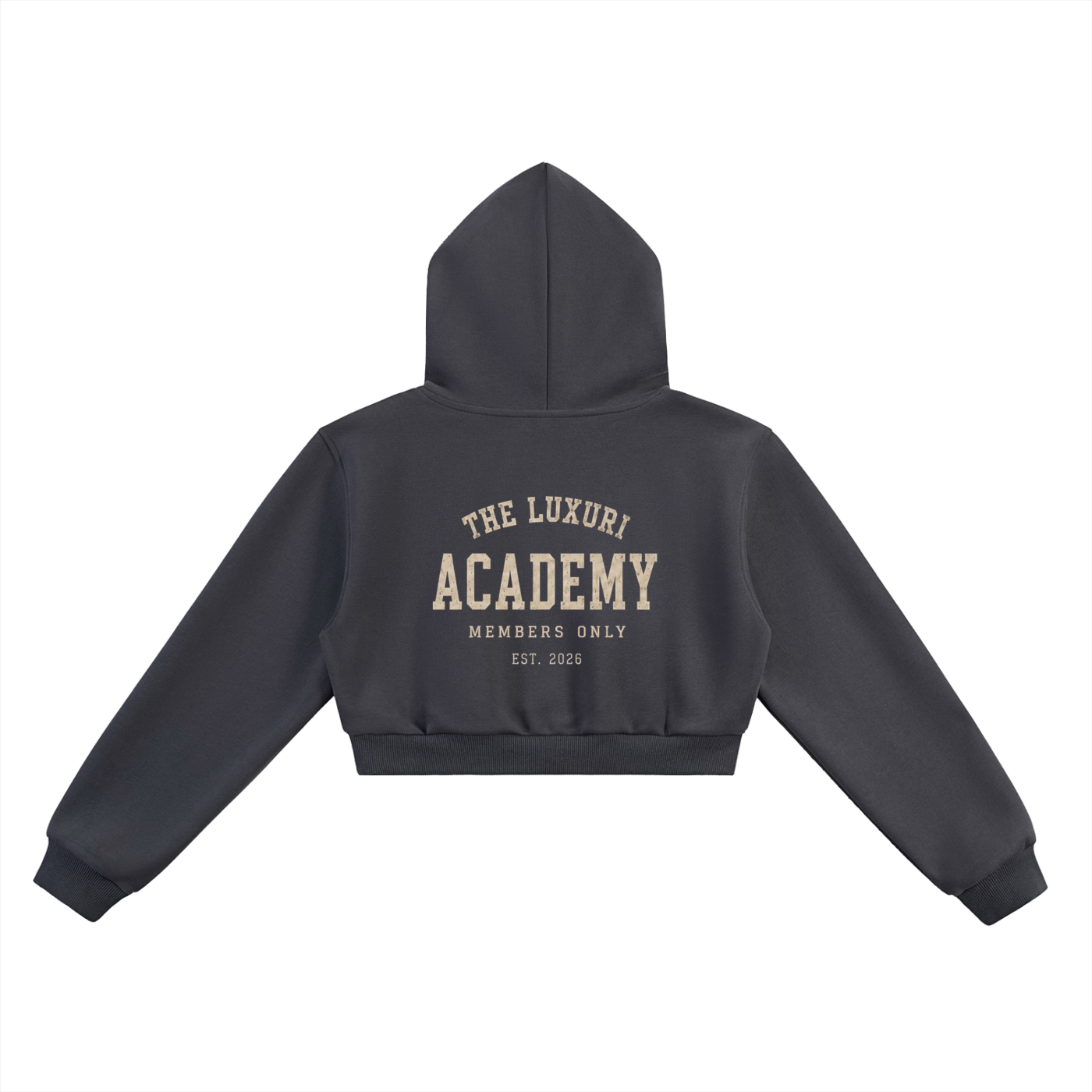 The Luxuri Academy Essential Cropped Hoodie